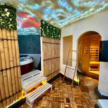 Apartment Loveroom Jaccuzi,hammam,sauna,douche Nordique Beziers